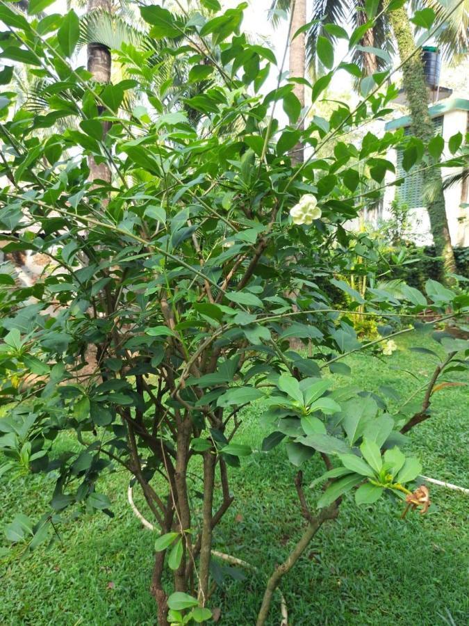 Shalala Residency Hotel Marmagao Luaran gambar